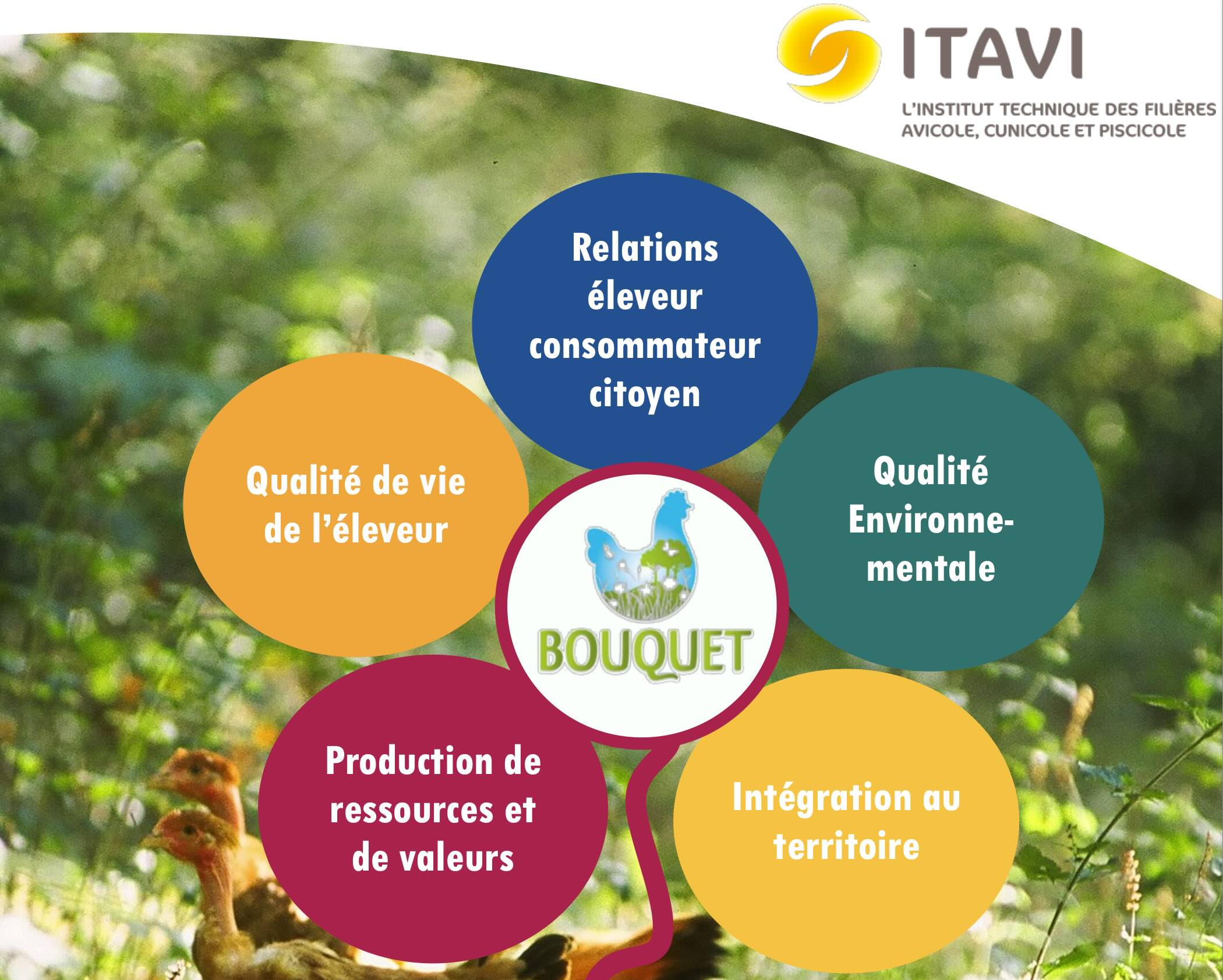 Bouquet