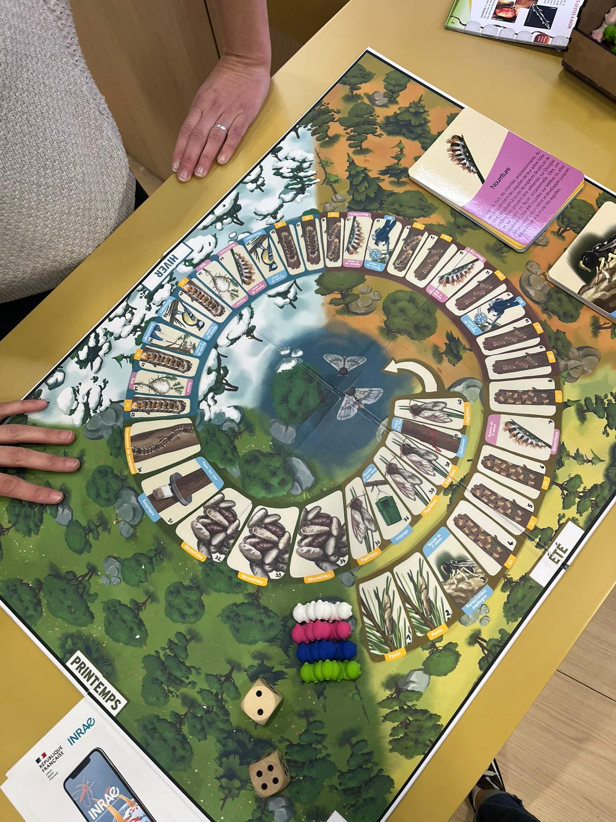 La processionnaire du pin - Jeu de l'Oie
