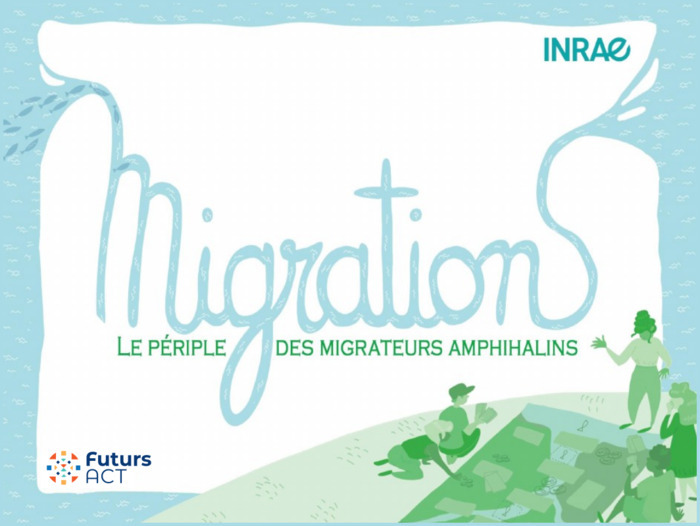 MigrationS - Le périple des migrateurs amphihalins